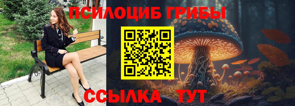 Псилоцибиновые грибы Psilocybine cubensis  Вход с VPN  Нижний Тагил  Галлюциногенные грибы Psilocybine cubensis 